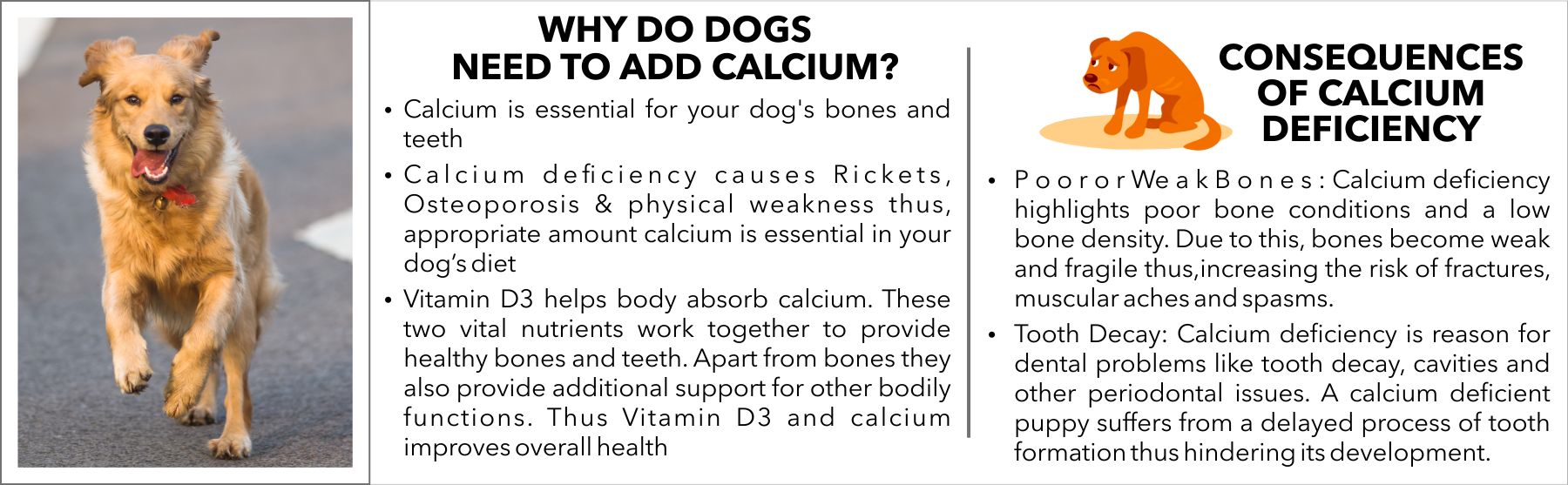 Drools Absolute Calcium Tablet- Dog Supplement 110 Tablets