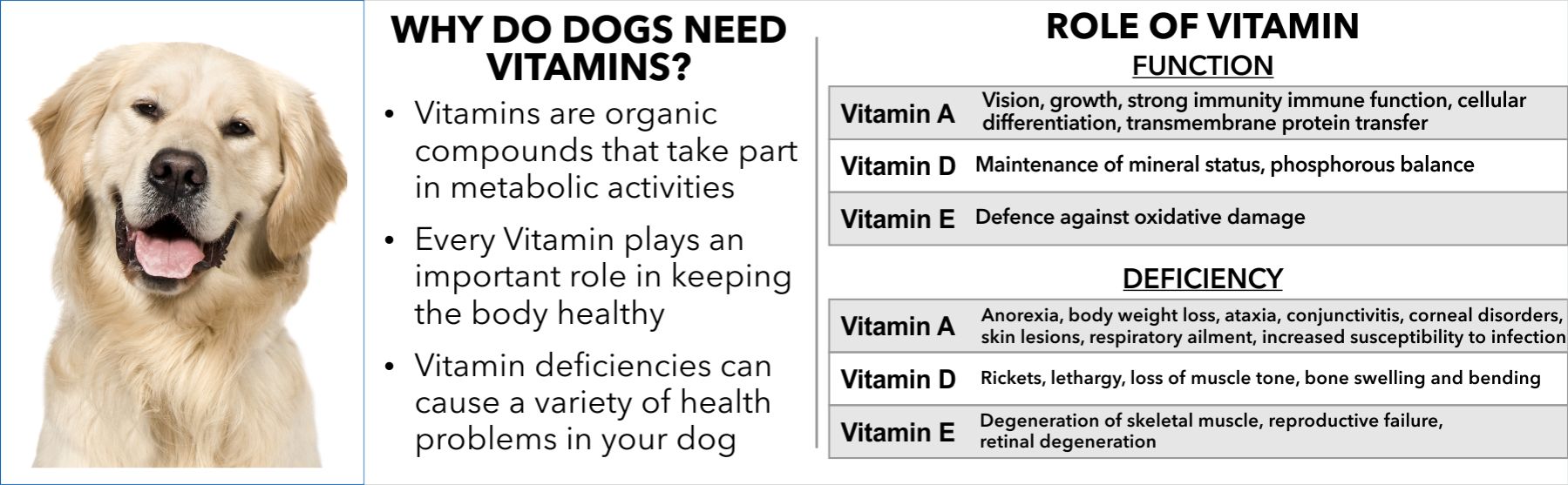 Drools Absolute Vitamin Dog Supplement