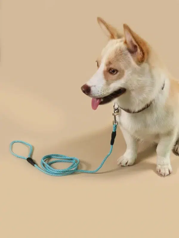 Random Colour Braided Leash - Puppy/ Small Dogs