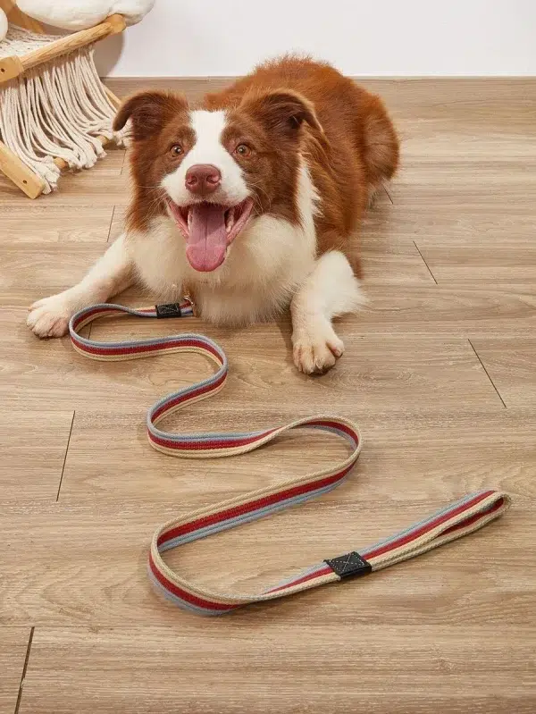 Stripe Pattern Pet dog Leash