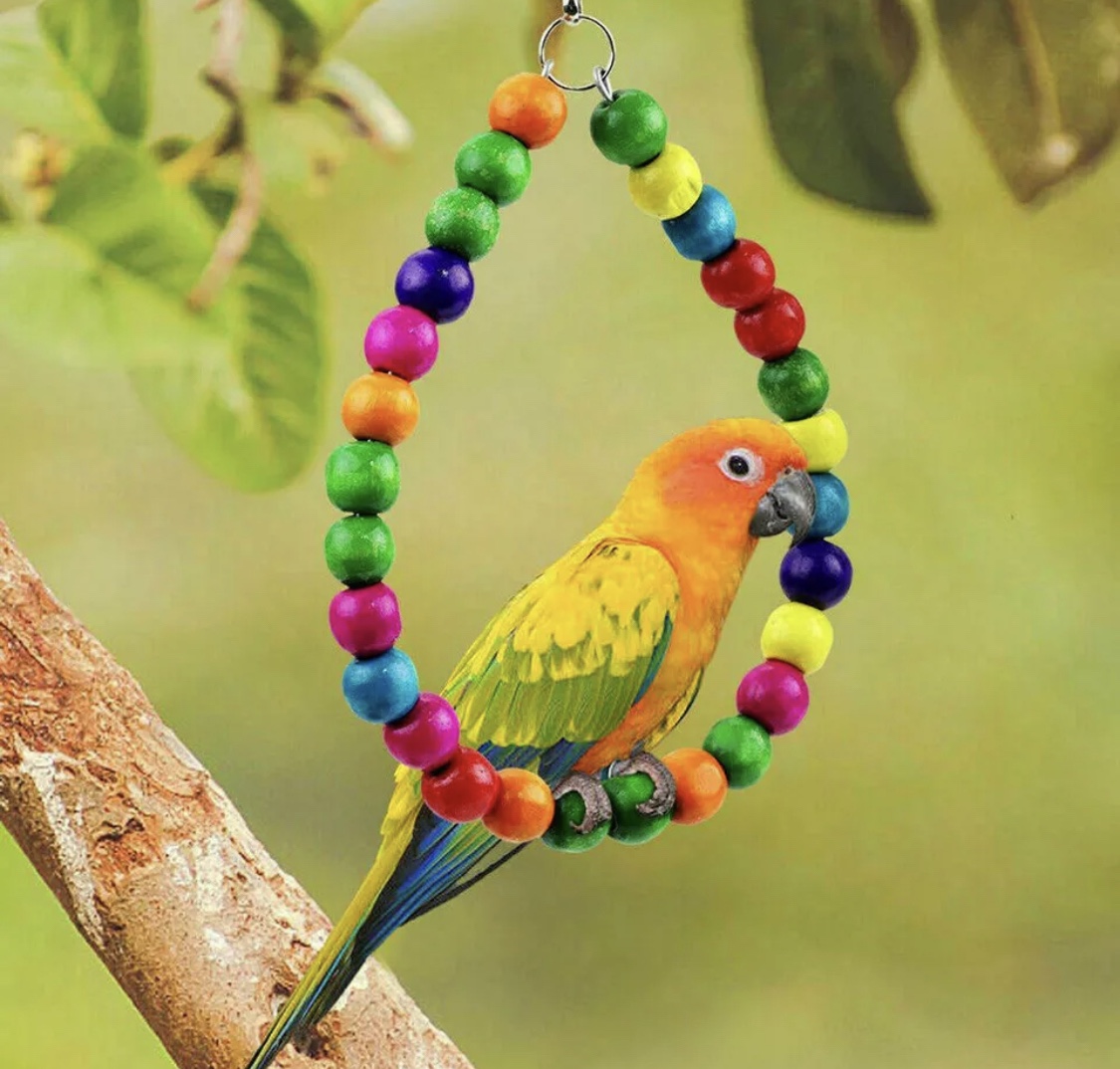 Bird Toy Swing Pets for Homes