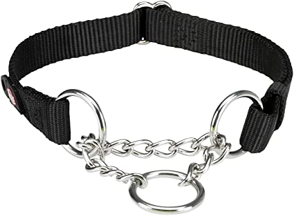 Semi-Choke Dog Collar