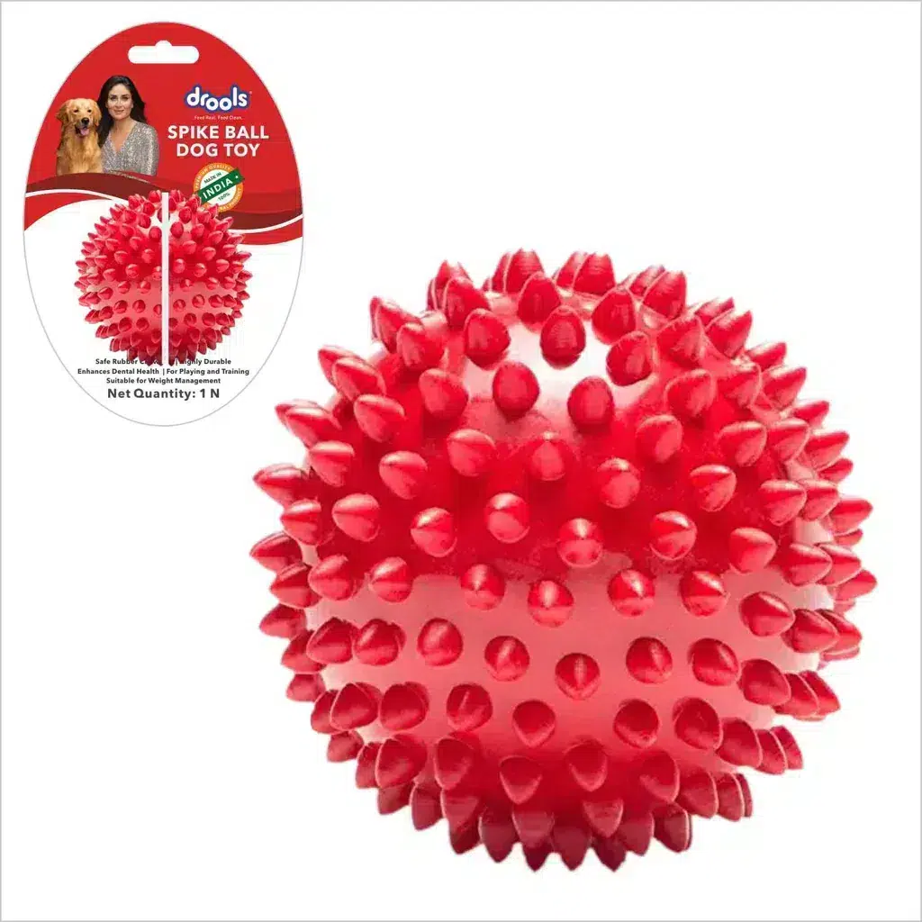 Drools Spike Hard Ball Toy