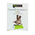 Ondansetron Oral Solution for Pets 60ml - Nausea and Vomiting in Dogs and Cats
