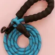 Nylon Pet Leash – Strong Durable for Med-Large Dogs