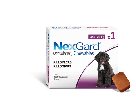 1pk-nexgard-chew-for-dogs-10-500-r112x