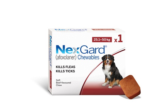 1pk-nexgard-chew-for-dogs-25-500-r112x