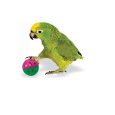 PETSLIFE Bird Ball Toys with Rattler Pack of 6