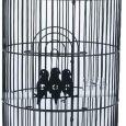 Round Small Decorative bird cage