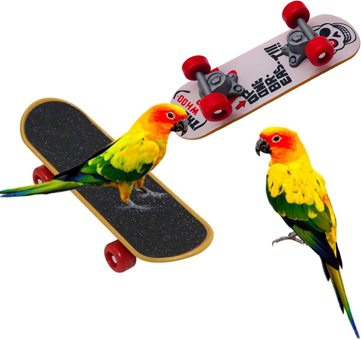 Bird Toy Skateboard