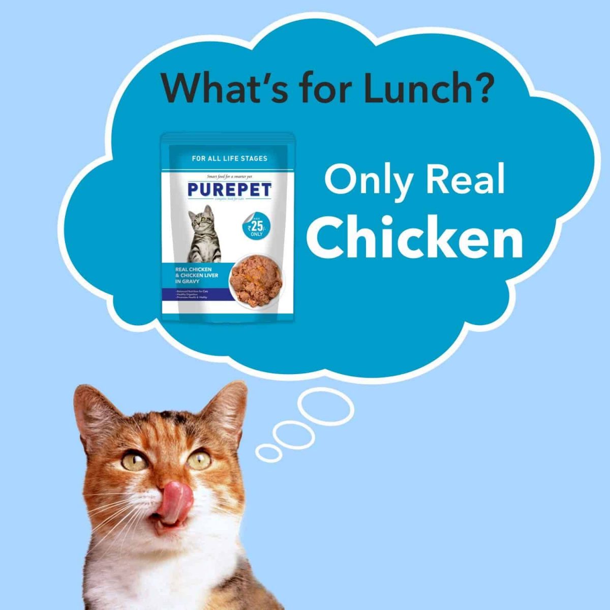 Purepet Wet Cat Food, Real Chicken and Liver in Gravy, 1 Pouch 70g