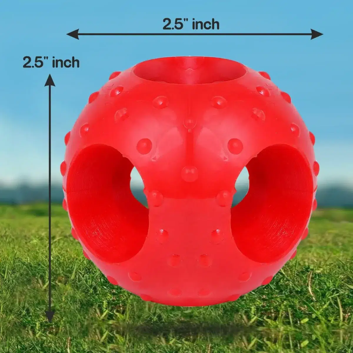 Drools Rubber Hole Ball Chew Toy
