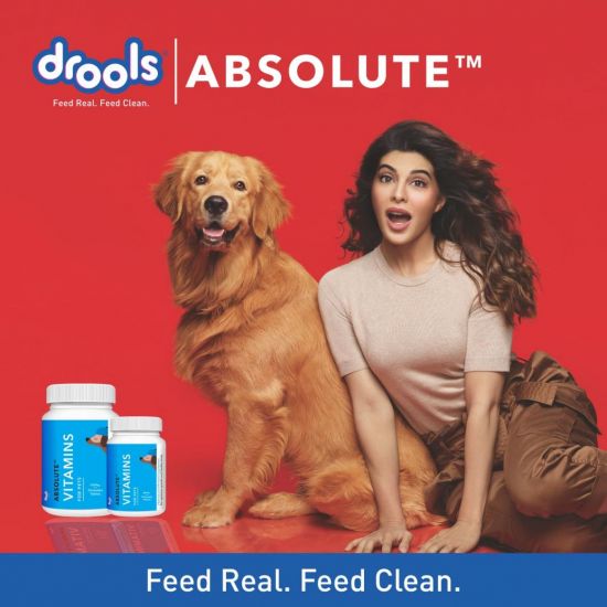 Drools Dog Vitamins 110 Tablets
