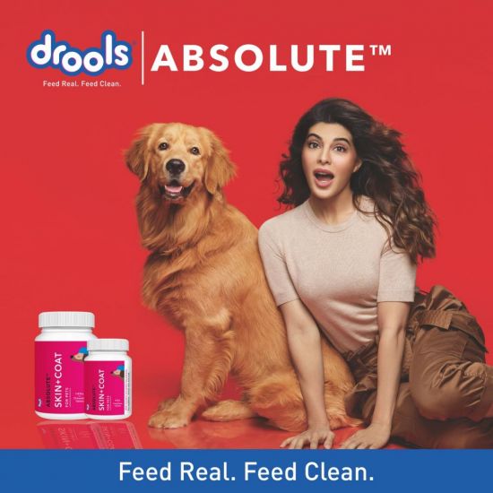 Drools Dog Skin & Coat 110 Tablets