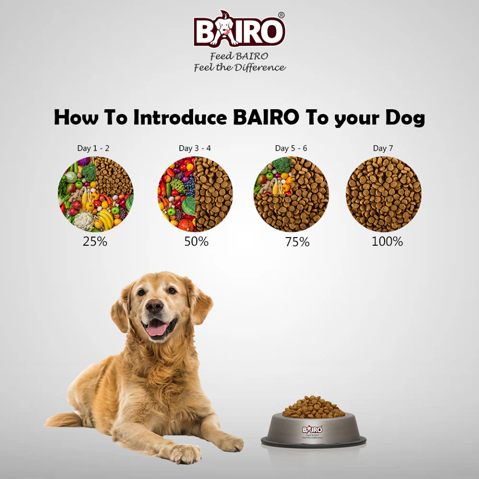BAIRO Adult Dogs 5kg Chicken