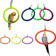 bird swing ring toy 8 pcs pp traders original imag88ea7htgvzpf 1