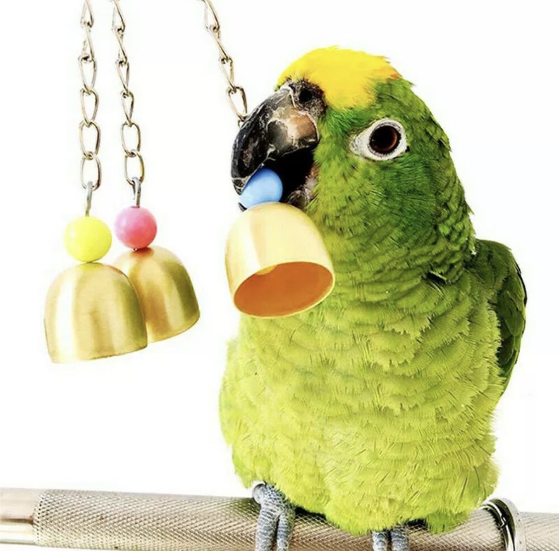 Bird Toy Hanging Bells