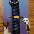 Paw Print Dog Collar, Playful Pets Blue & Green – Small