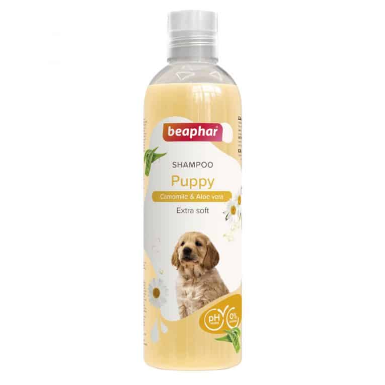 19993_Ecommerce_Basic-Shampoo-Puppy_2023_EN-1