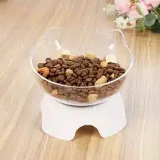 Pet Food & Water Bowl with High Stand for Cat and Dog