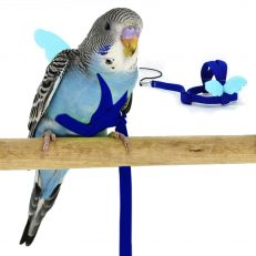 Budgerigar Parrot Bird Harness and Leash