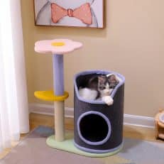 Flower Three-Layer Cat Climbing Tree with Cozy Hideout – Perfect for Small Cats &kittens
