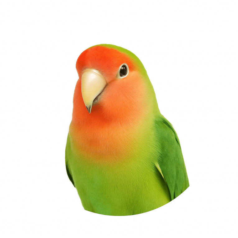 99ba431e-dab7-4777-9d03-43f382853b43
