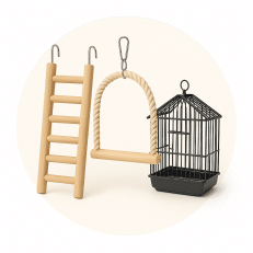 Bird Toys & Accessories