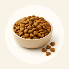 Cat Food