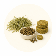 Rodent Food & Treats