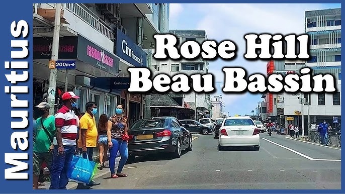 Pet Shop Rose Hill - Petsforhomes.mu Delivery