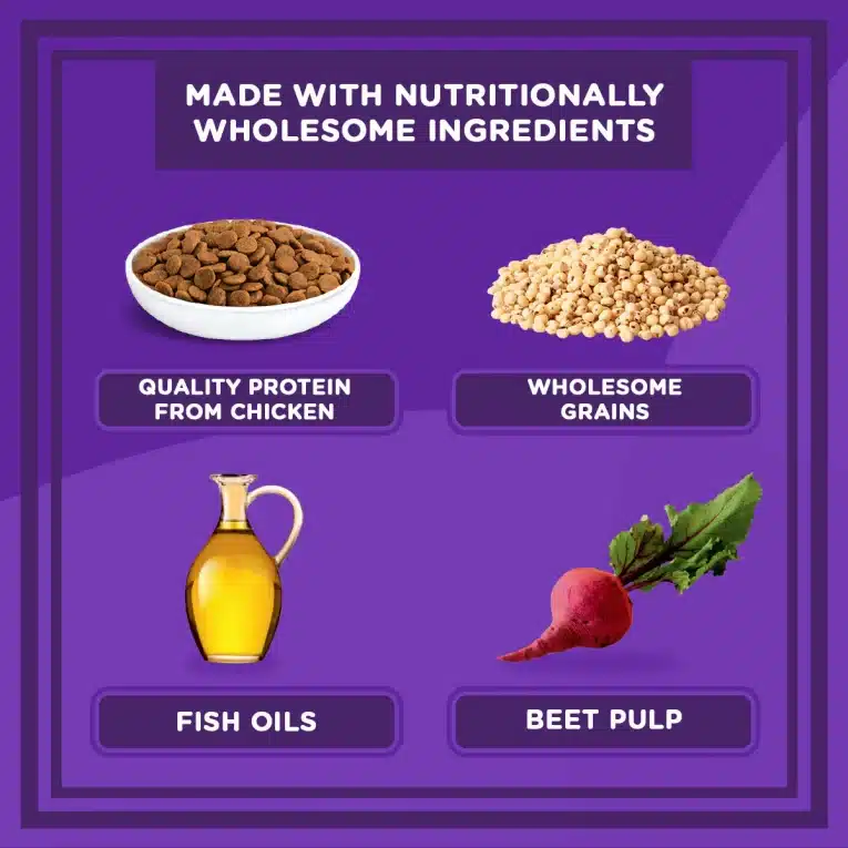 10270289_IAMS_Dry_Cat_Food_Mother___Kitten_3kg__4__KEY_INGREDIENTS