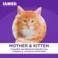 10270289_IAMS_Dry_Cat_Food_Mother___Kitten_3kg__6__LIFE_STAGE