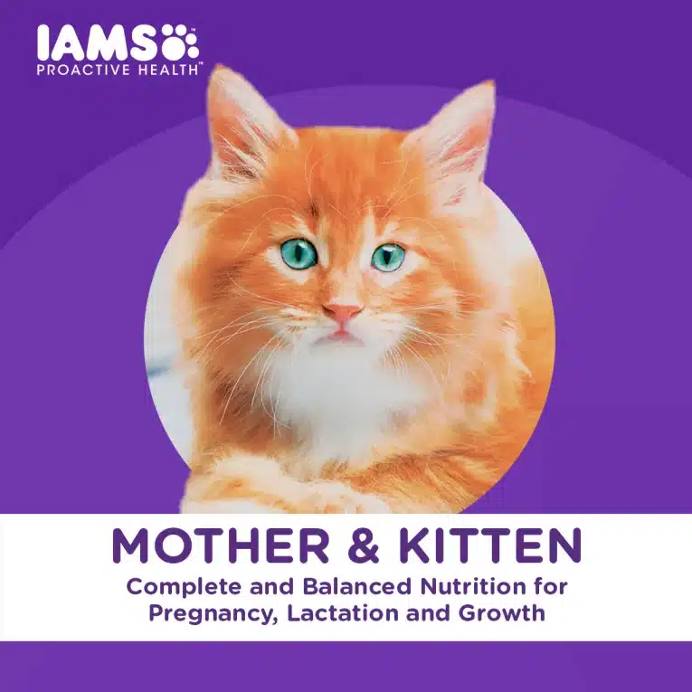 10270289_IAMS_Dry_Cat_Food_Mother___Kitten_3kg__6__LIFE_STAGE