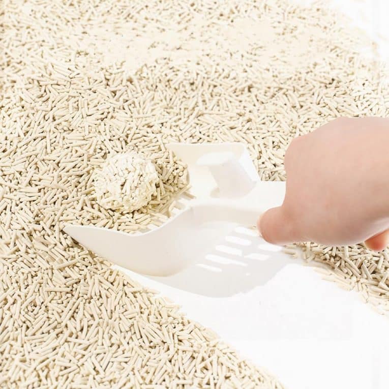 71gjTnn9xFL._AC_SL1024_