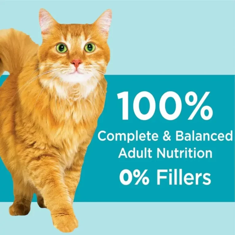 iams-indoor-weight-hairball-chicken-cat-food-6
