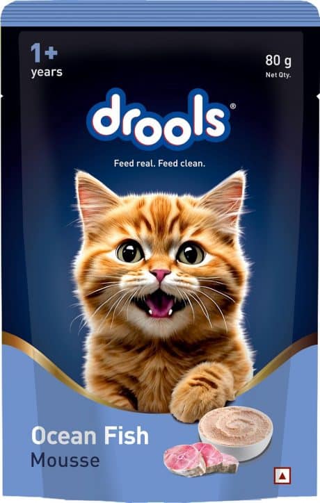 Drools Adult Cat Wet Mousse 80g | Ocean Fish